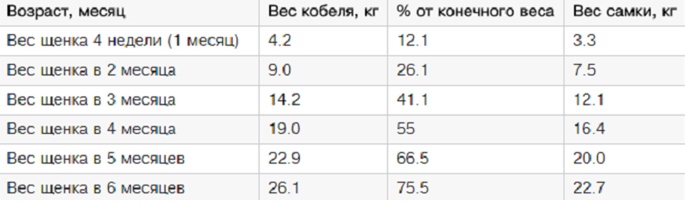 таблица веса щенка немецкой овчарки по месяцам